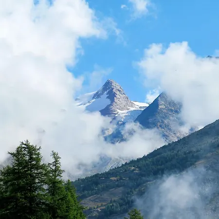 Appartement Venetz-1 By Interhome Saas-Fee